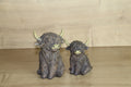 Beeldjes Hooglanders